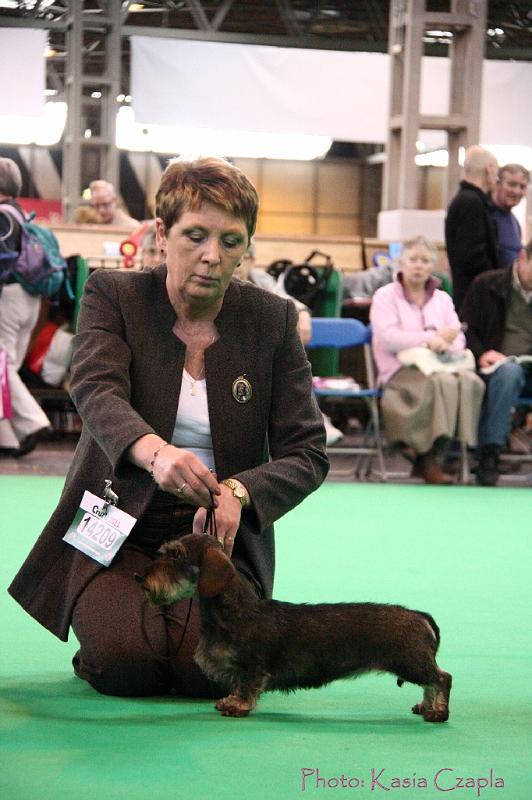 Crufts2011_2 1562.jpg